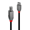 Lindy 2M Usb 2.0 Type C To B Cable, Référence: W128370483