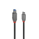 Lindy 2m USB 3.2 Type C to B Cable, Référence: W128456783