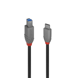 Lindy 2m USB 3.2 Type C to B Cable, Référence: W128456783
