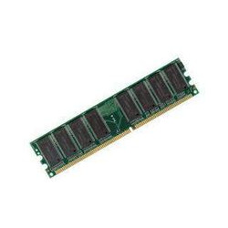 MicroMemory 2GB Module for HP Reference: MMHP163-2GB