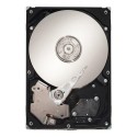 Seagate 300GB 15kADrive Référence: ST3300656SS