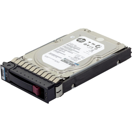 Hewlett Packard Enterprise 1TB HDD 7200RpM 3,5 Inch Reference: RP000121638 