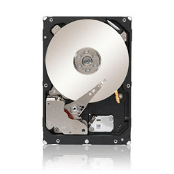 Seagate 4TB 128MB 7200RPM SATA 24/7 Reference: ST4000NM0033