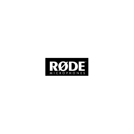 RØDE Ds2 Microphone Stand Desktop Référence: W128897100