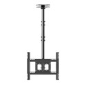 Ernitec Ceiling bracket for 1 monitor Référence: W128778049