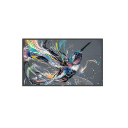 Philips 32 Q-Line 18/7, FHD, basic Référence: W126597264