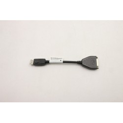 Lenovo DisplayPort to DVI dongle Référence: W126516125
