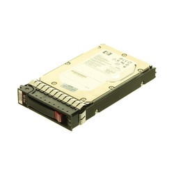 Hewlett Packard Enterprise 300GB 3G SAS 15K 3.5 DP HDD Reference: RP000110737