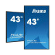 iiyama 43 3840x2160, UHD IPS panel Référence: W128882652