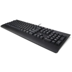 Lenovo Keyboard USB TRDTNL KB BK DEN Référence: W125630715