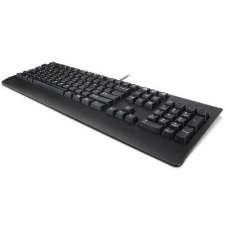 Lenovo Keyboard USB TRDTNL KB BK DEN Référence: W125630715