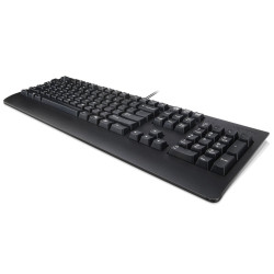 Lenovo Keyboard USB TRDTNL KB BK POL Référence: W125630730