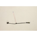 Lenovo eDP cable for Lenovo Golem Référence: W126938515