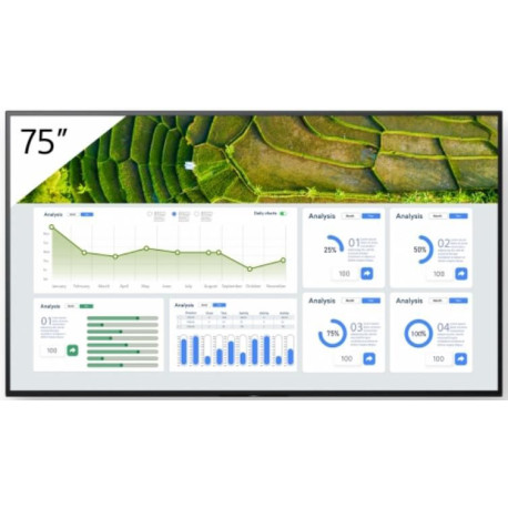 Sony 75 Pro BRAVIA LCD 440nit Référence: W128407234