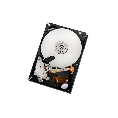HGST 2TB SATAII 32MB, RAID Référence: HUA722020ALA330