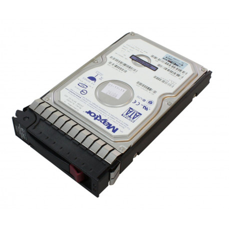 Hewlett Packard Enterprise 250GB SATA 7.200Rpm Reference: 397553-001