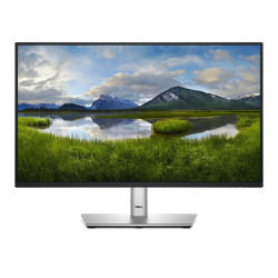 Dell P Series P2225H Computer Référence: W128896521