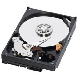 Western Digital WD Caviar Blue 500GB Référence: WD5000AAKS