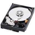 Western Digital WD Caviar Blue 500GB Référence: WD5000AAKS