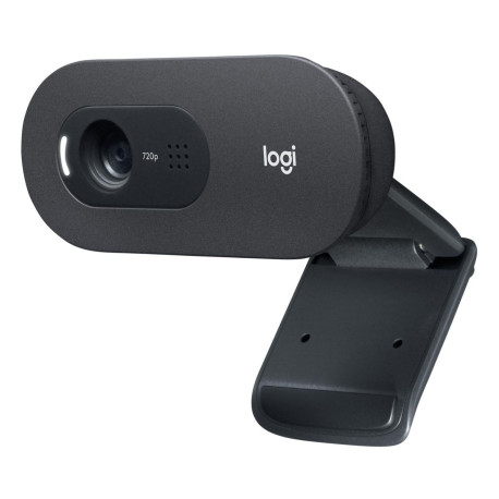 Logitech C505e webcam 1280 x 720 Référence: W125909773