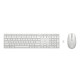 HP 650 Wireless Keyboard and M Référence: W128308413