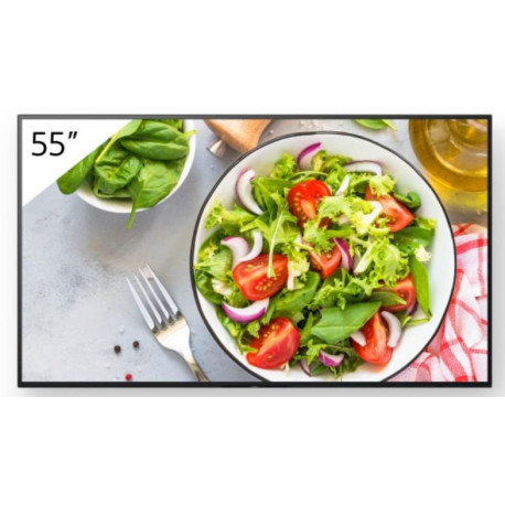 Sony 55 Pro BRAVIA LCD 550nit Reference: W128407232