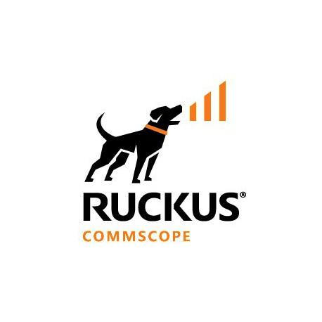 Ruckus 10GBASE-SR,SFPP MMF LC Référence: W127294208