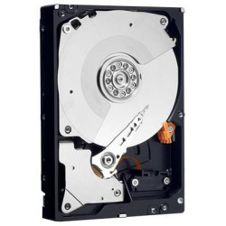 Western Digital WD Caviar Black 1TB Reference: WD1002FAEX