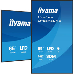 iiyama 65 3840x2160, UHD IPS panel, Référence: W129145777