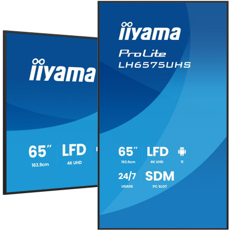 iiyama 65 3840x2160, UHD IPS panel, Référence: W129145777