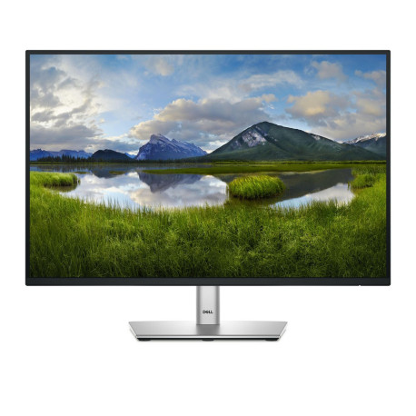 Dell P Series P2425E Computer Référence: W129112328