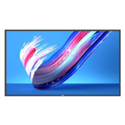 Philips 50 Direct LED 4K Display, Référence: W128312461