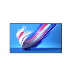 Philips 55 Direct LED 4K Display, Référence: W128312462
