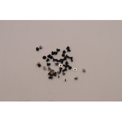 Lenovo screw replacement kit with M2 Référence: W126945809