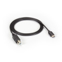 Black Box USB 2.0 USB TYPE C TO USB Référence: W126135512
