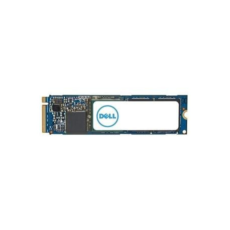 Dell Internal Solid State Drive Reference: W128279842