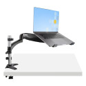 StarTech.com DESK MOUNT LAPTOP ARM Référence: W128229039