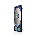 HGST 500GB 7200RPM 32MB 7MM SATA Référence: 0J38075