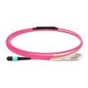 Lanview Fiber Patch Cable - 8 cores Référence: W126919009