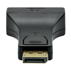 ProXtend Displayport to DVI-I 24+5 Référence: W128366156