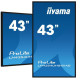 iiyama 43 3840x2160, UHD IPS panel, Reference: W128844330
