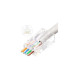 Lanview RJ45 UTP plug Cat6 for Référence: W125960694