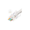 Lanview RJ45 UTP plug Cat6 for Référence: W125960694