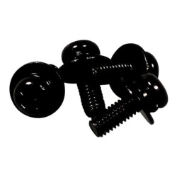 Sony Bag Screw Assembly Référence: 455833001