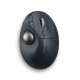 Kensington ProFit Ergo TB550 Trackball, Référence: W128449349