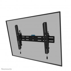 Neomounts Select Screen Wall Mount (tilt, VESA Reference: W126626943