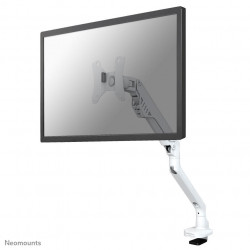 Neomounts by Newstar Flat Screen Desk Mount Reference: FPMA-D750WHITE