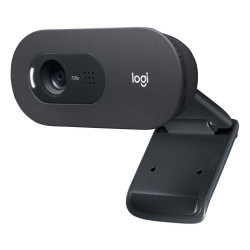 Logitech C505E Webcam Référence: W129175025