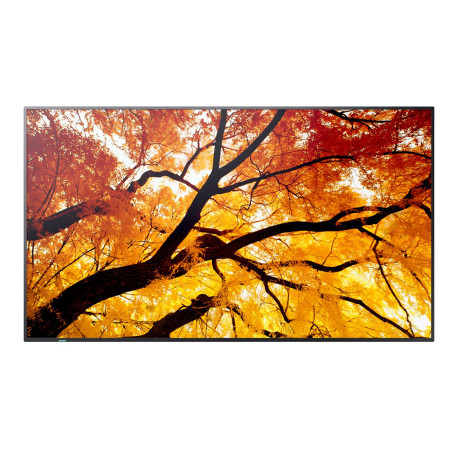 Sharp/NEC M552, 55 M-Series LFD, UHD Référence: W129096597