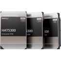 Synology 3.5 SATA HDD HAT5300 16 TB Référence: W125927690
